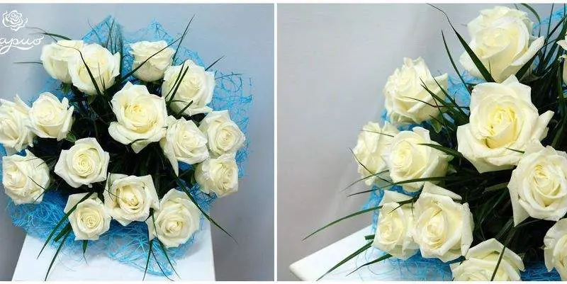 Первый Снег